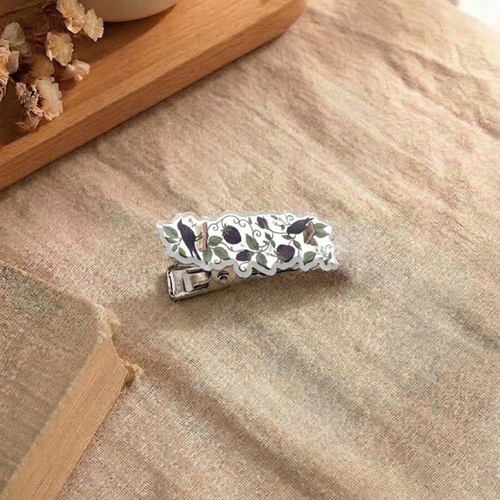 Pagewings Raven On Books Acrylic Hair Clip