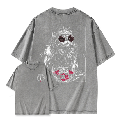 Pagewings The Desperado Club Unisex Washed T-shirt