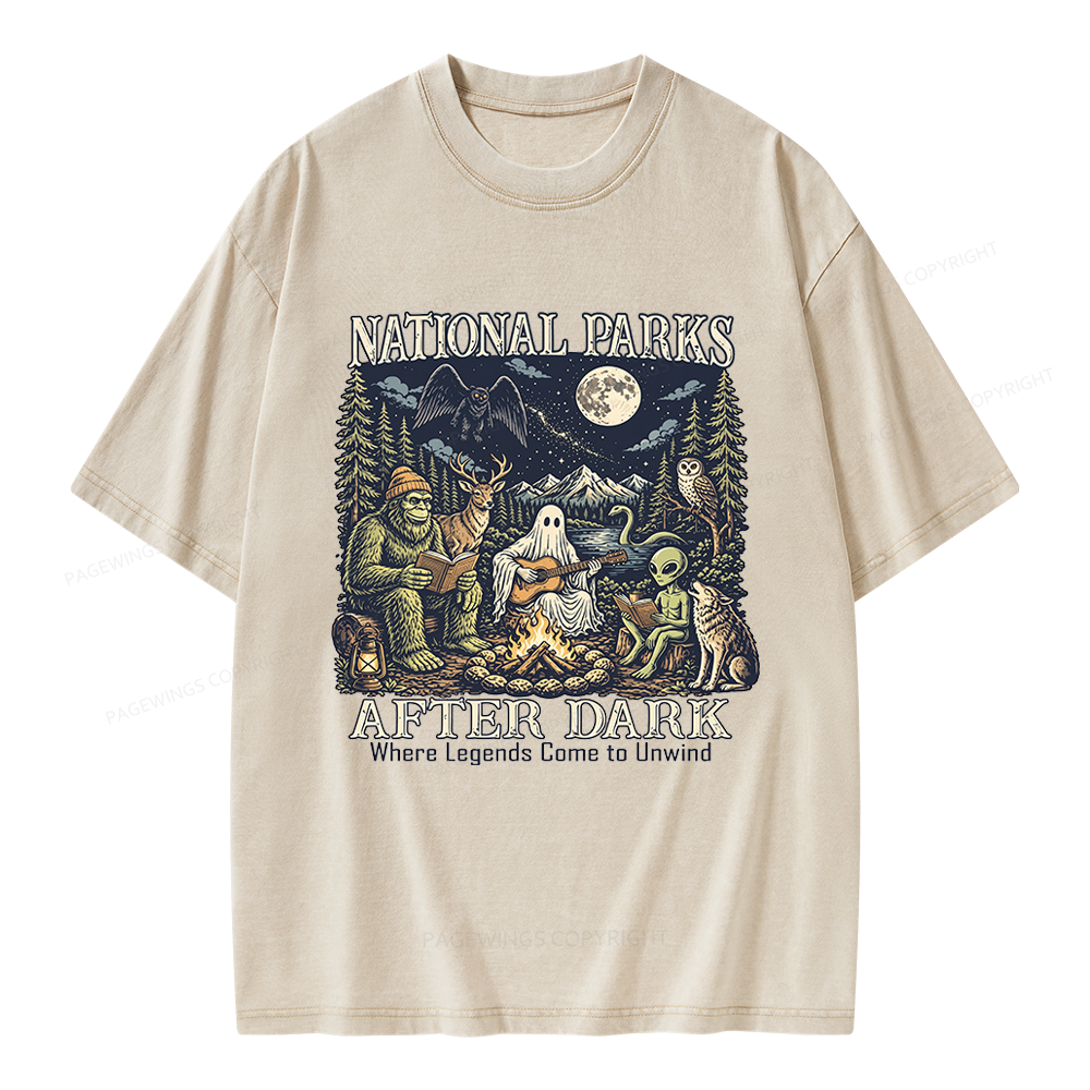 Pagewings National Parks After Dark Unisex Washed T-shirt