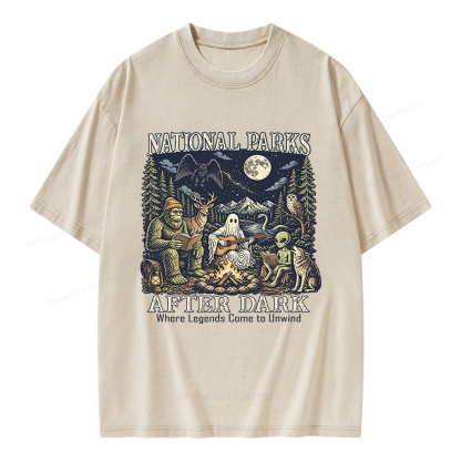 Pagewings National Parks After Dark Unisex Washed T-shirt