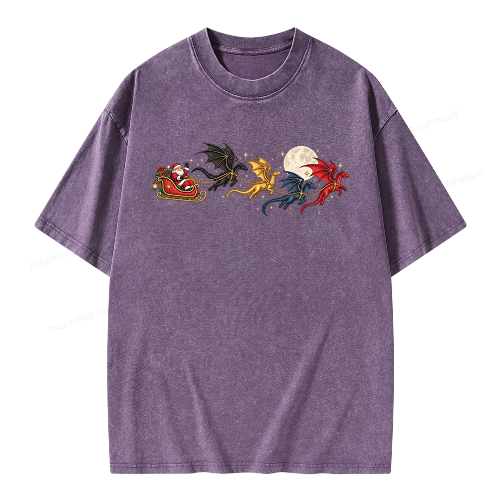 Pagewings Dragon Rider Book Fan Unisex Washed T-shirt