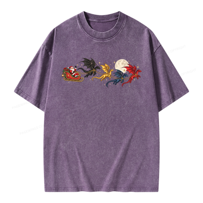 Pagewings Dragon Rider Book Fan Unisex Washed T-shirt