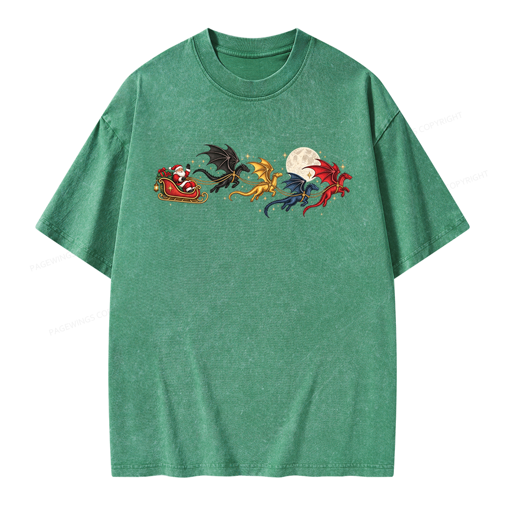 Pagewings Dragon Rider Book Fan Unisex Washed T-shirt