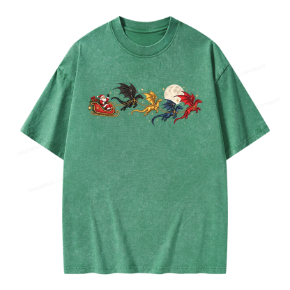 Pagewings Dragon Rider Book Fan Unisex Washed T-shirt