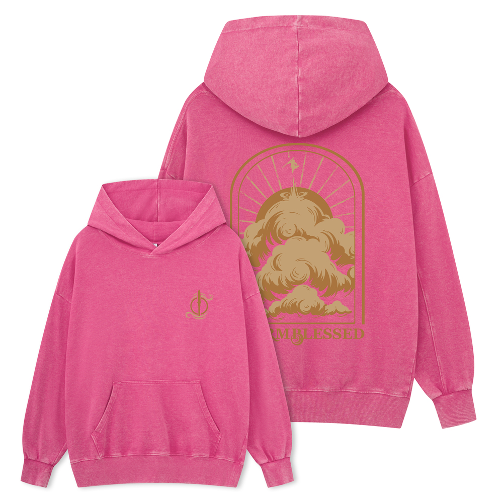 Pagewings Stormblessed Unisex Washed Hoodie