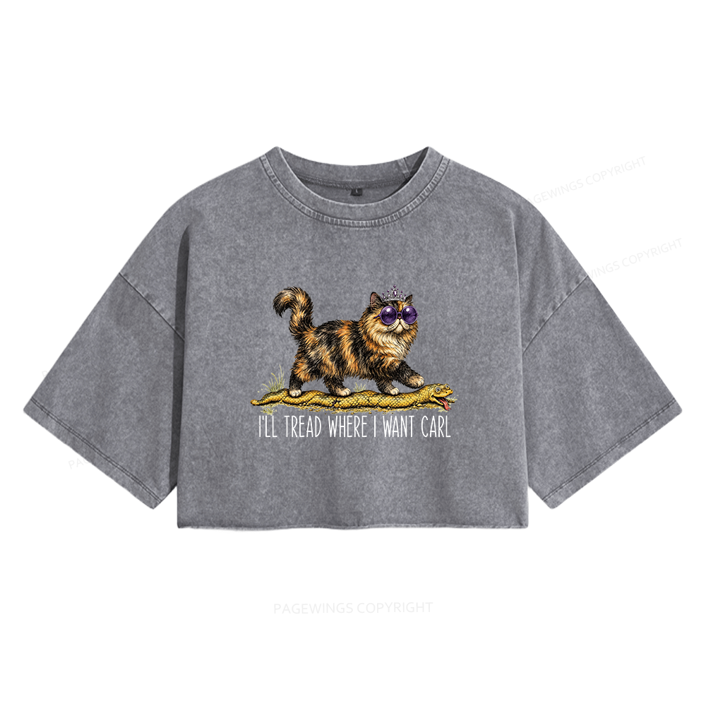 Pagewings Sci-Fi Reading Women's Washed Cropped T-shirt