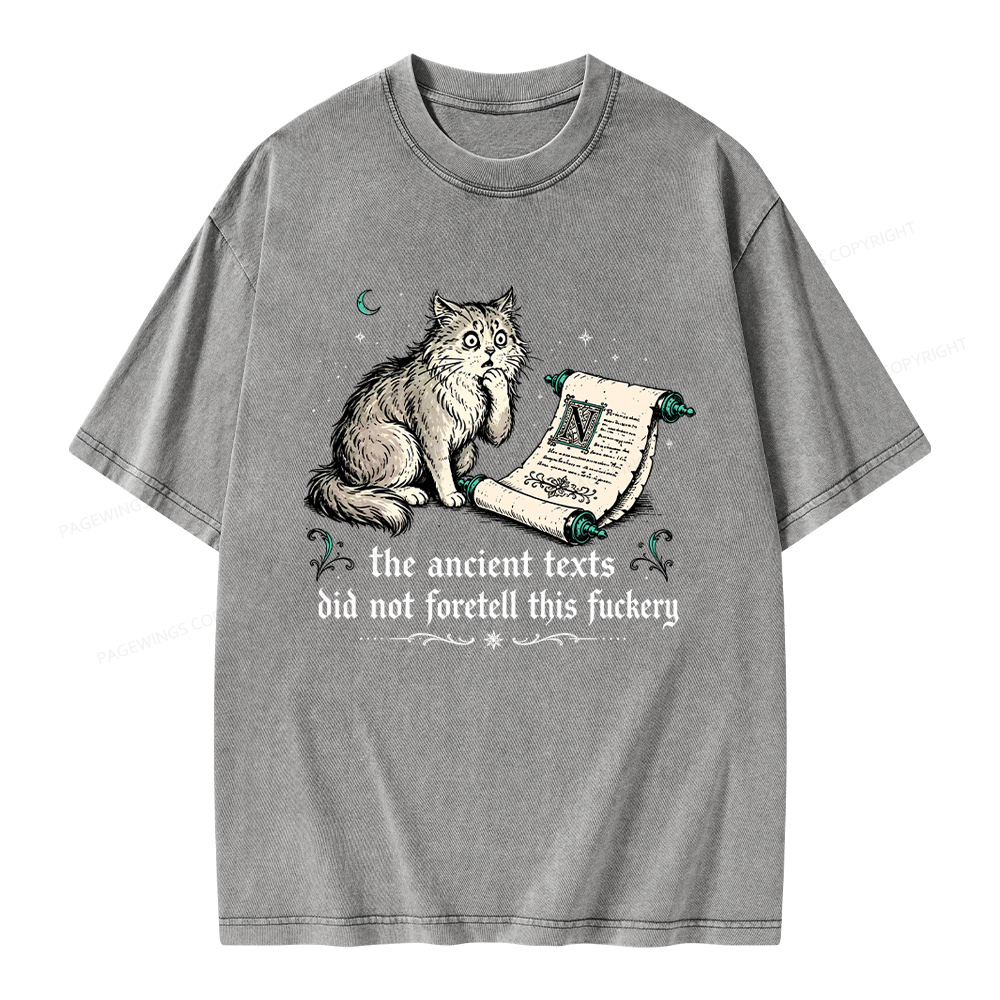 Pagewings Funny Medieval Cat Unisex Washed T-shirt