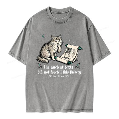 Pagewings Funny Medieval Cat Unisex Washed T-shirt