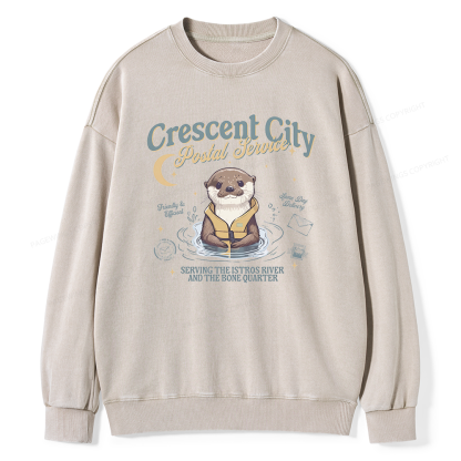 Pagewing Reading Fantasy Bookish Unisex Washed Sweatshirt
