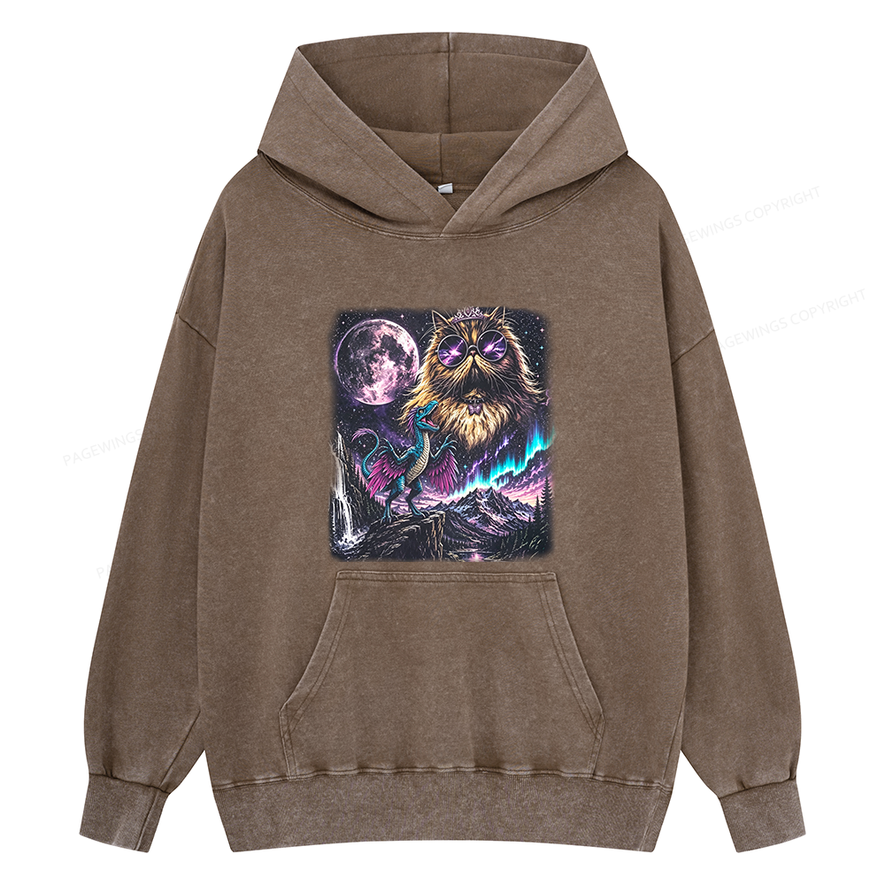 Pagewings Sci Fi Books Lover Unisex Washed Hoodie
