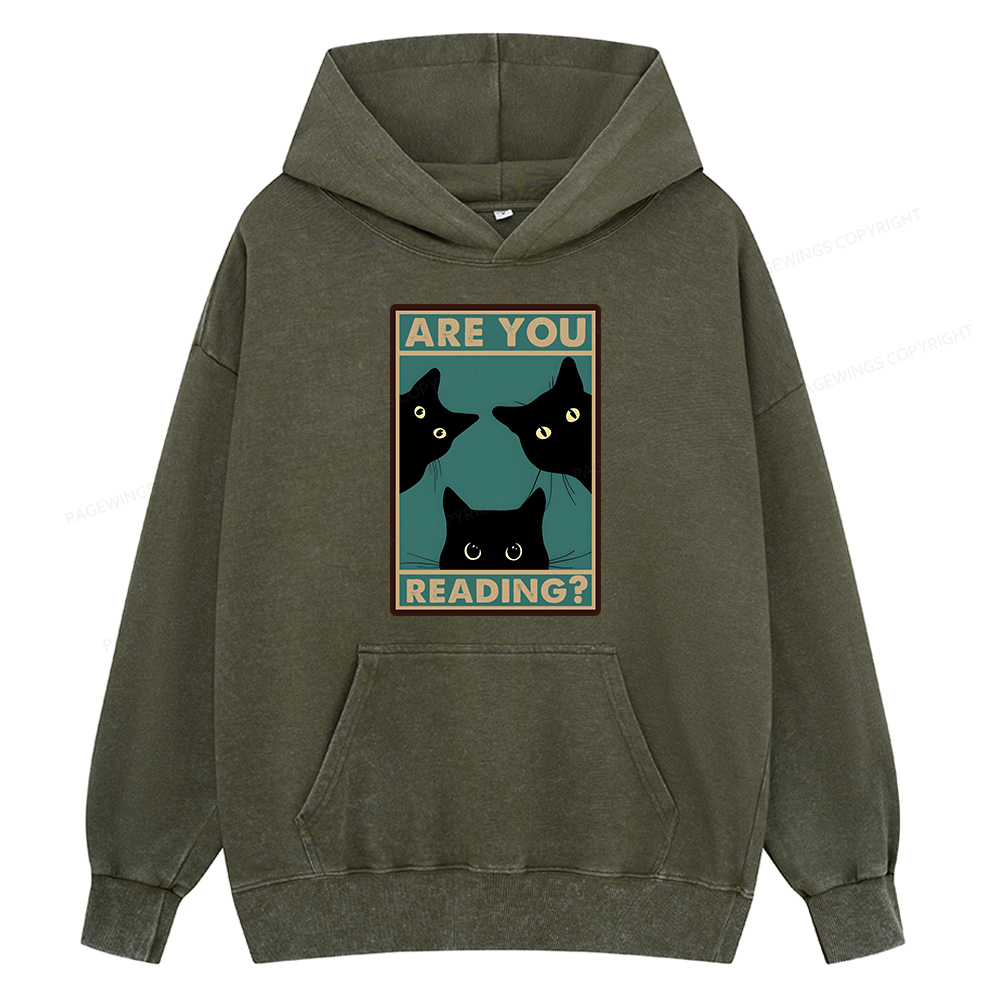 Pagewings Are You Reading Unisex Washed Hoodie