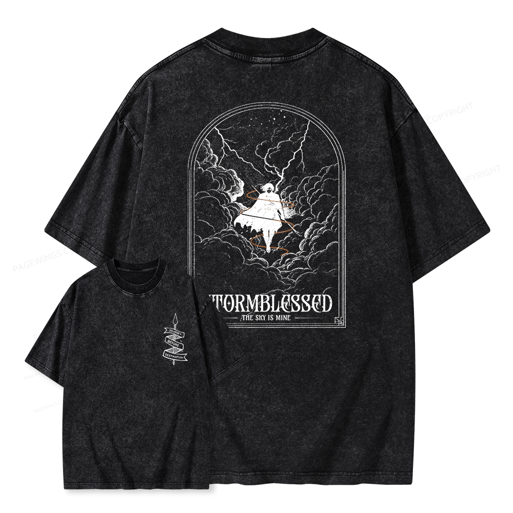 Pagewings Stormblessed Unisex Washed T-shirt