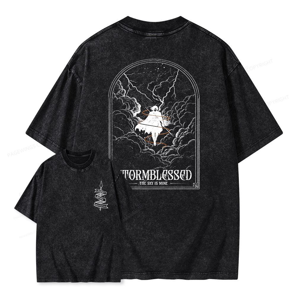 Pagewings Stormblessed Unisex Washed T-shirt
