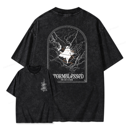 Pagewings Stormblessed Unisex Washed T-shirt