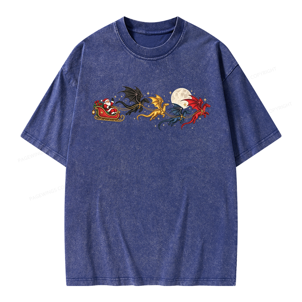 Pagewings Dragon Rider Book Fan Unisex Washed T-shirt
