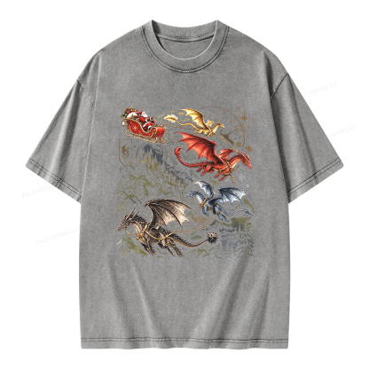 Pagewings Dragon Rider Holiday Unisex Washed T-shirt