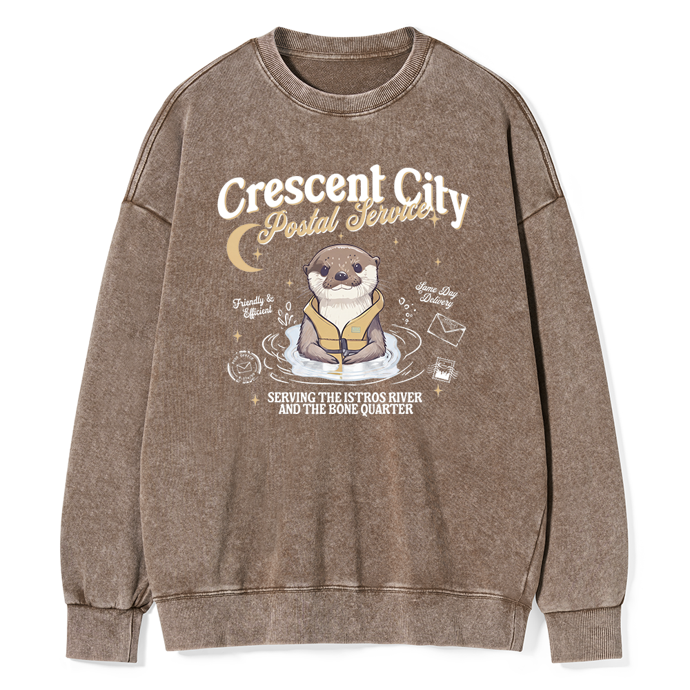 Pagewing Reading Fantasy Bookish Unisex Washed Sweatshirt