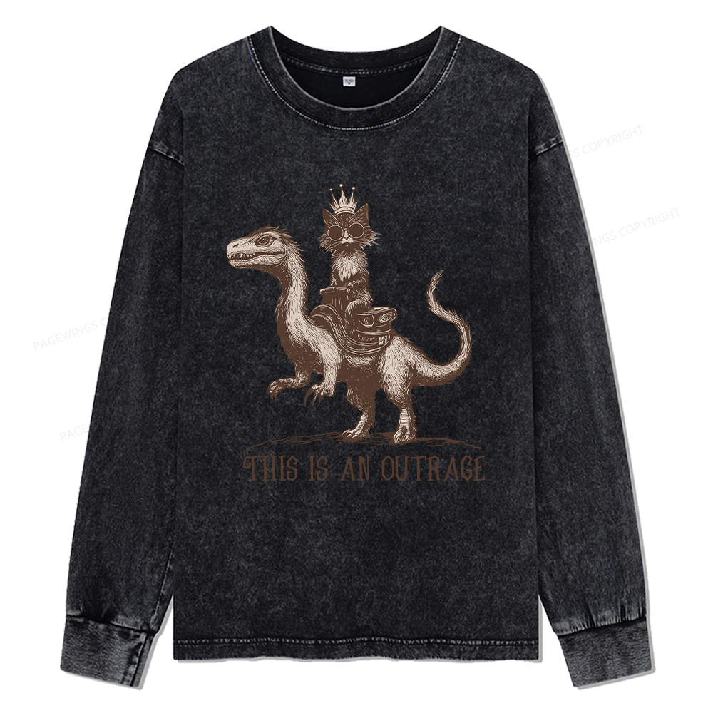 Pagewings Princess Donut Unisex Washed Long Sleeve T-shirt