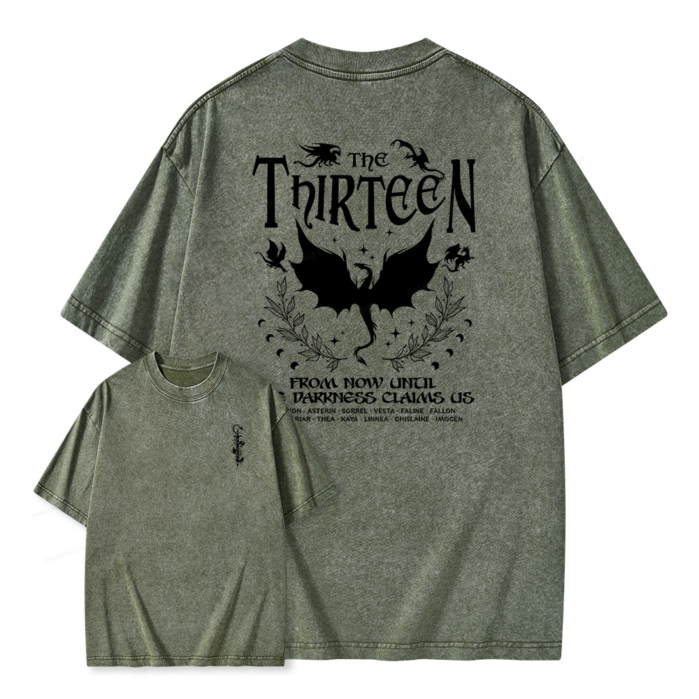 Pagewings The Thirteen Unisex Washed T-shirt
