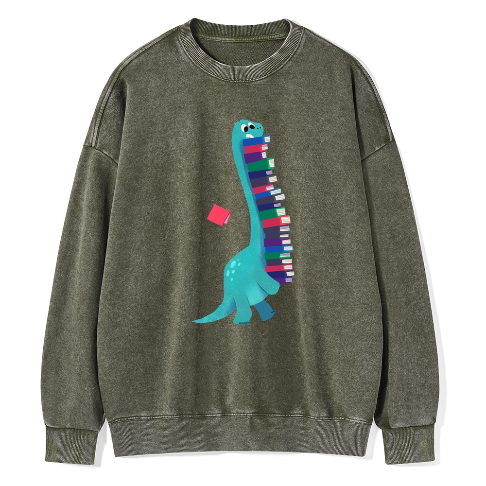 Pagewings Book Dinosaurs Unisex Washed Sweatshirt