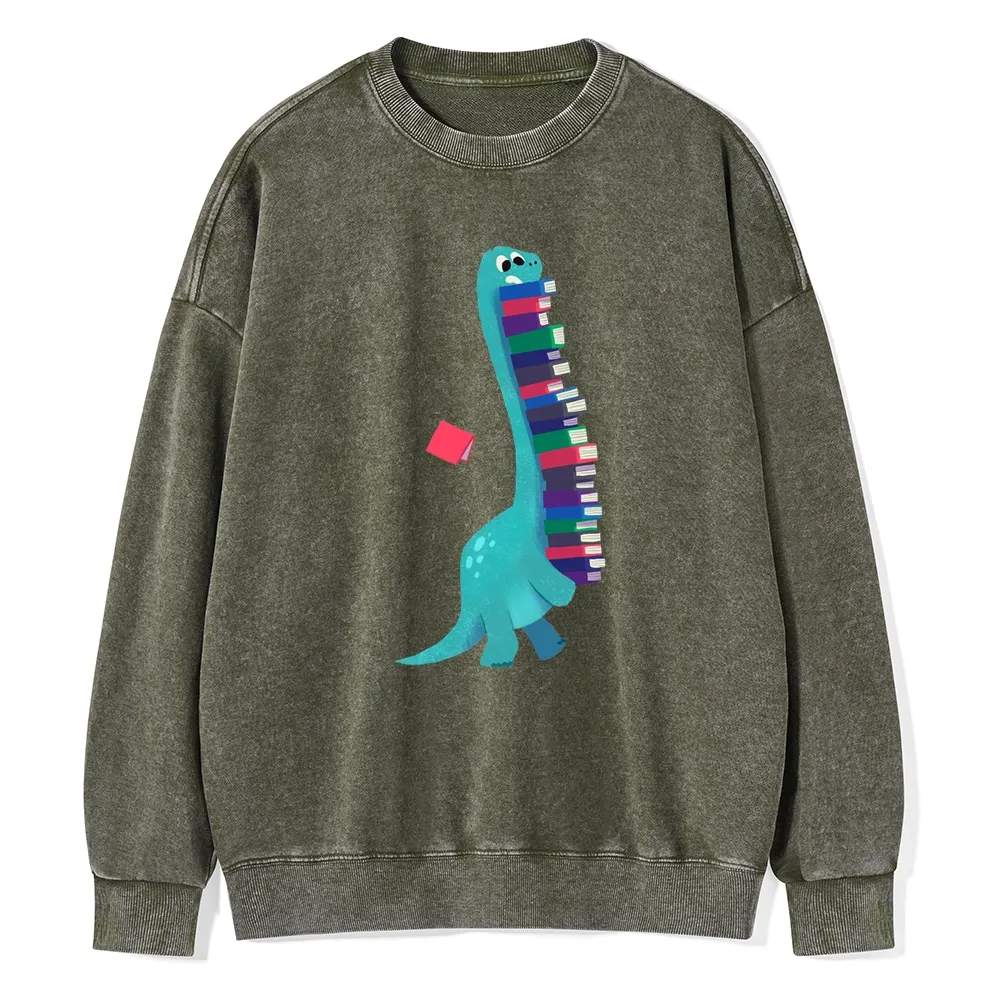 Pagewings Book Dinosaurs Unisex Washed Sweatshirt