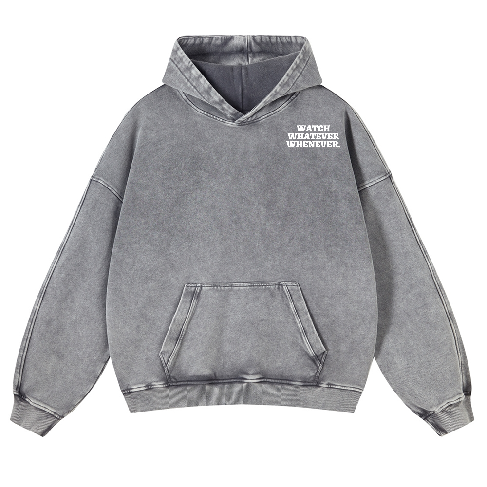 Sony Betamax Vintage Washed Cotton Back Art Hoodie