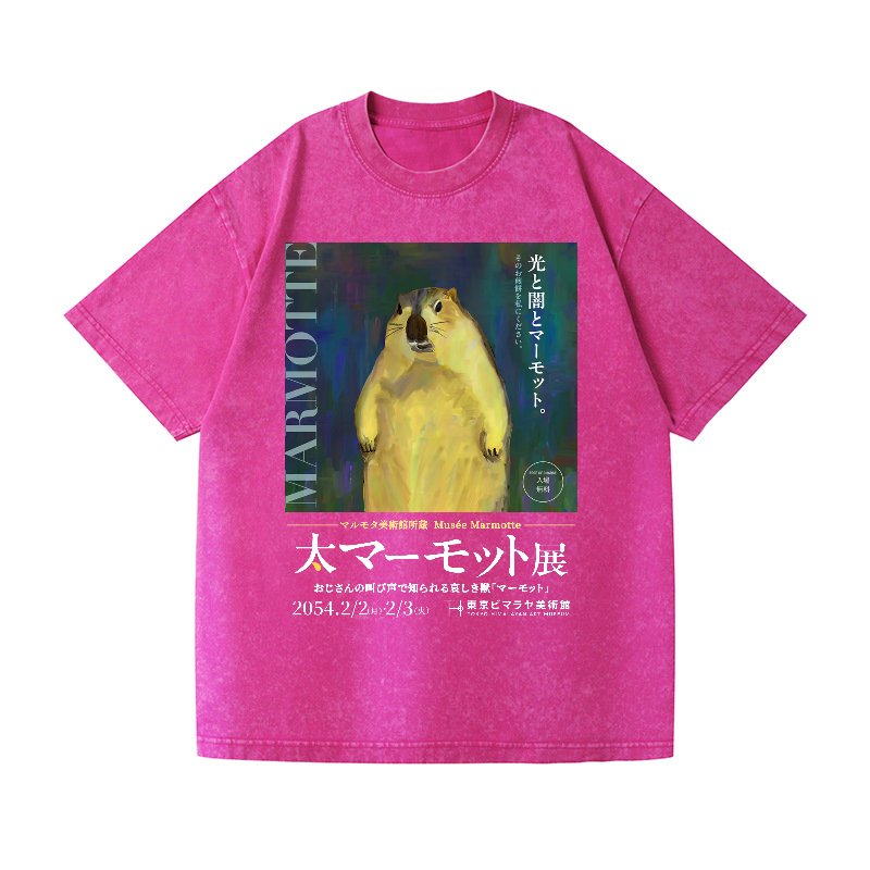 Marmot Vintage Wash Japanese Design T-Shirt