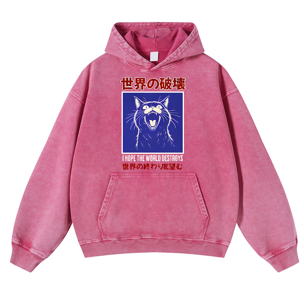 Cat Vintage Washed Thick Cotton Hoodie