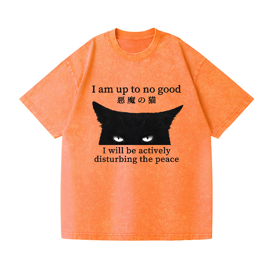 Devil Cat Vintage Wash Japanese Design T-Shirt