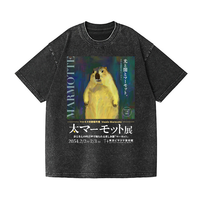 Marmot Vintage Wash Japanese Design T-Shirt
