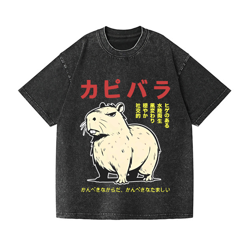 Capybara Vintage Wash Japanese Design T-Shirt
