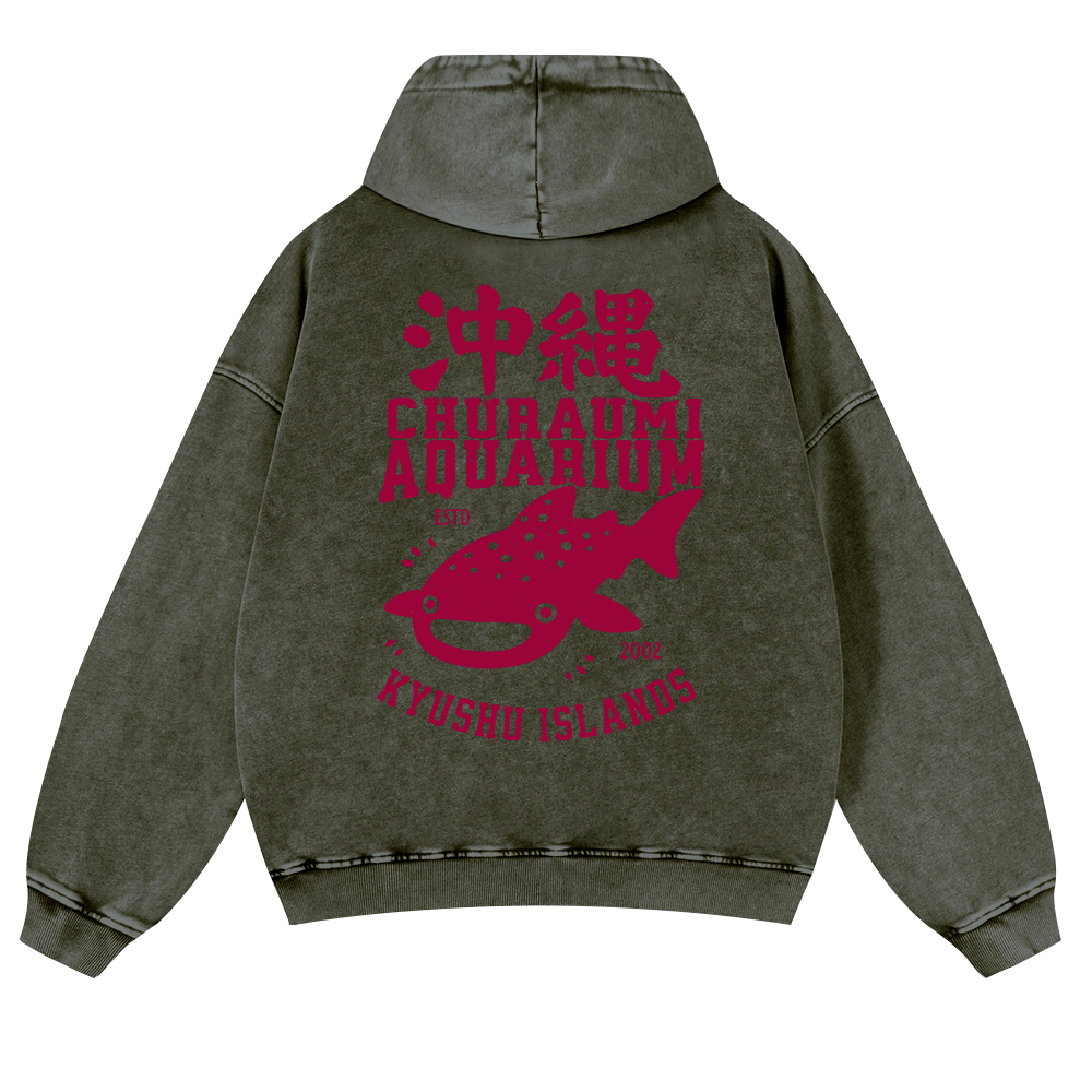 Okinawa Churaumi Aquarium Kyushu Islands Fish Vintage Washed Cotton Back Art Hoodie
