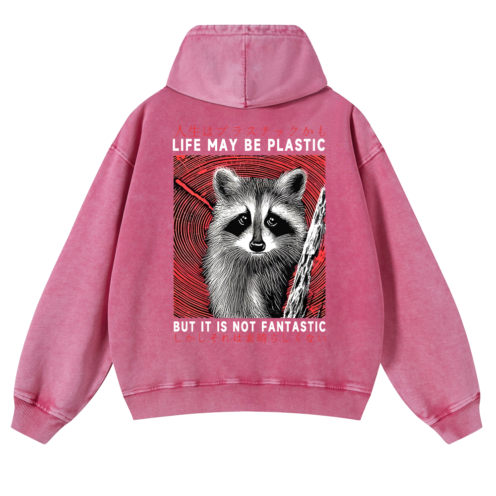 Raccoon Vintage Washed Cotton Back Art Hoodie