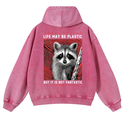 Raccoon Vintage Washed Cotton Back Art Hoodie