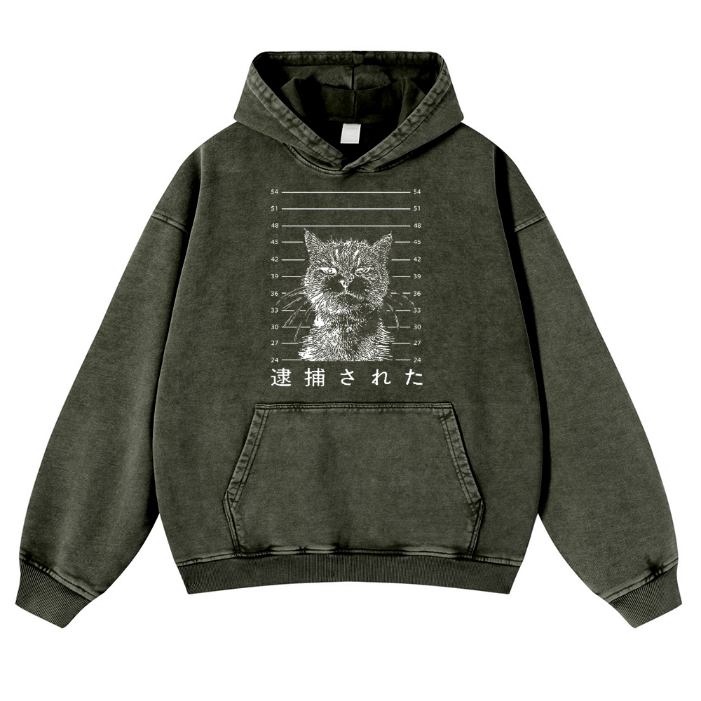 Arrested Cat Vintage Washed Thick Cotton Hoodie