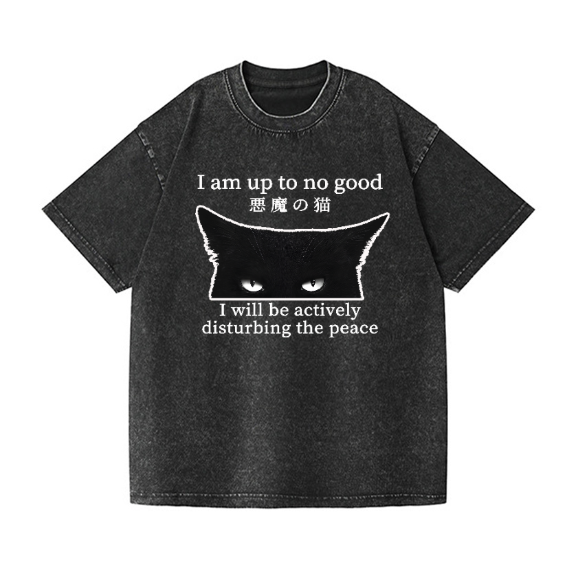 Devil Cat Vintage Wash Japanese Design T-Shirt