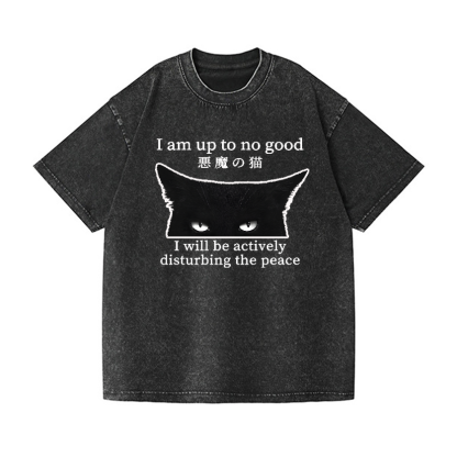 Devil Cat Vintage Wash Japanese Design T-Shirt