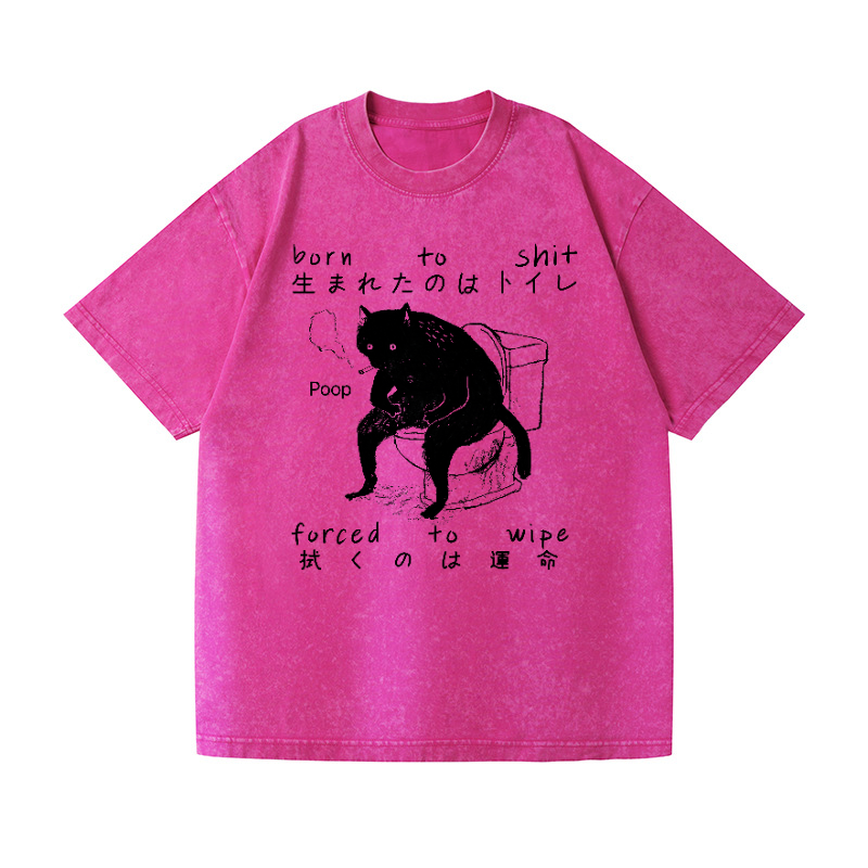 Cat Vintage Wash Japanese Design T-Shirt