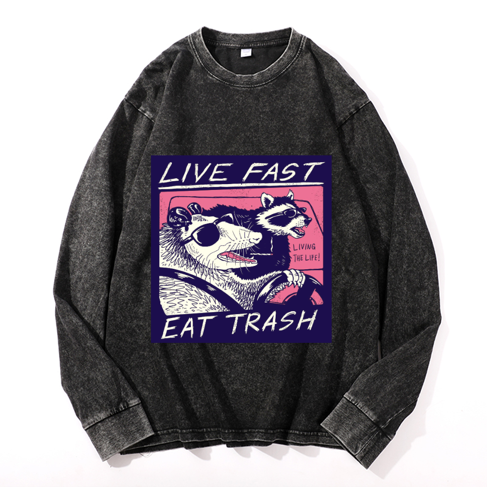 Vintage Cotton Wash Crewneck Sweatshirt