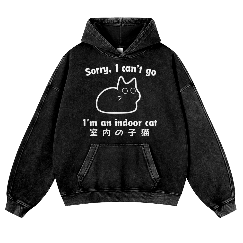 Cat Vintage Washed Thick Cotton Hoodie