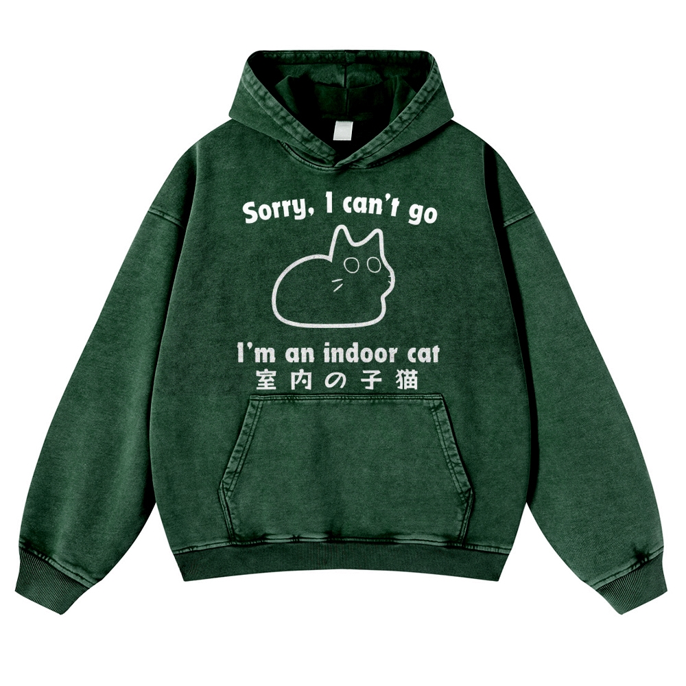 Cat Vintage Washed Thick Cotton Hoodie