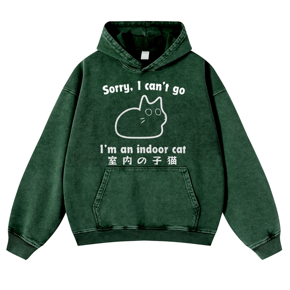 Cat Vintage Washed Thick Cotton Hoodie