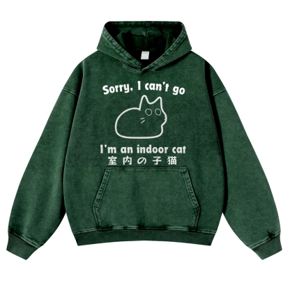 Cat Vintage Washed Thick Cotton Hoodie