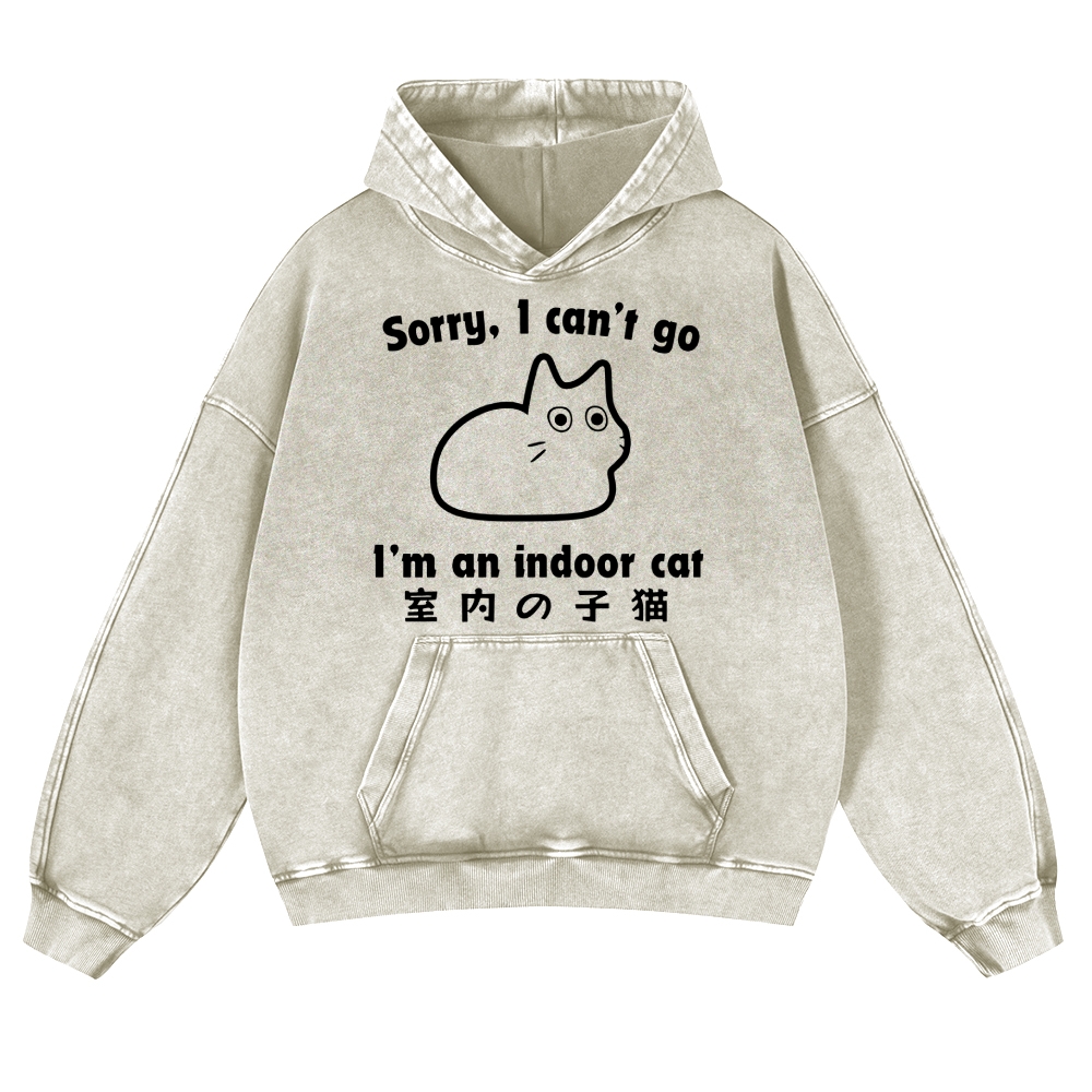 Cat Vintage Washed Thick Cotton Hoodie