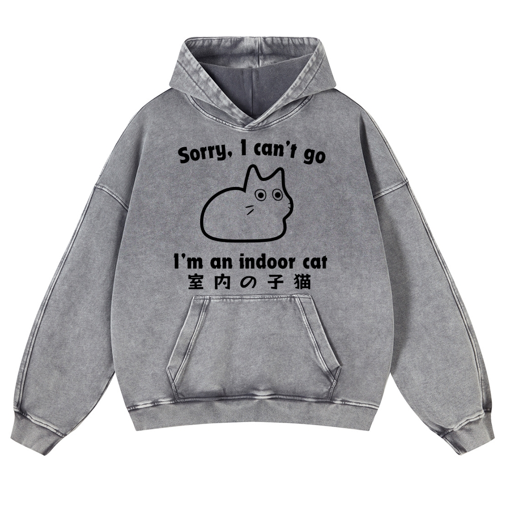 Cat Vintage Washed Thick Cotton Hoodie