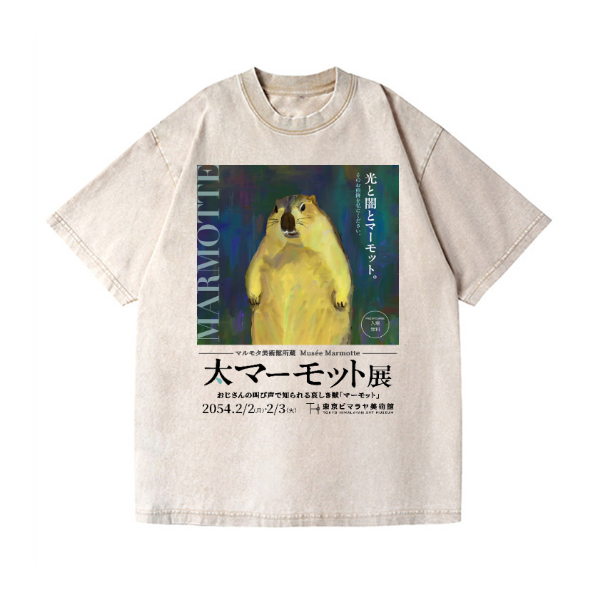 Marmot Vintage Wash Japanese Design T-Shirt