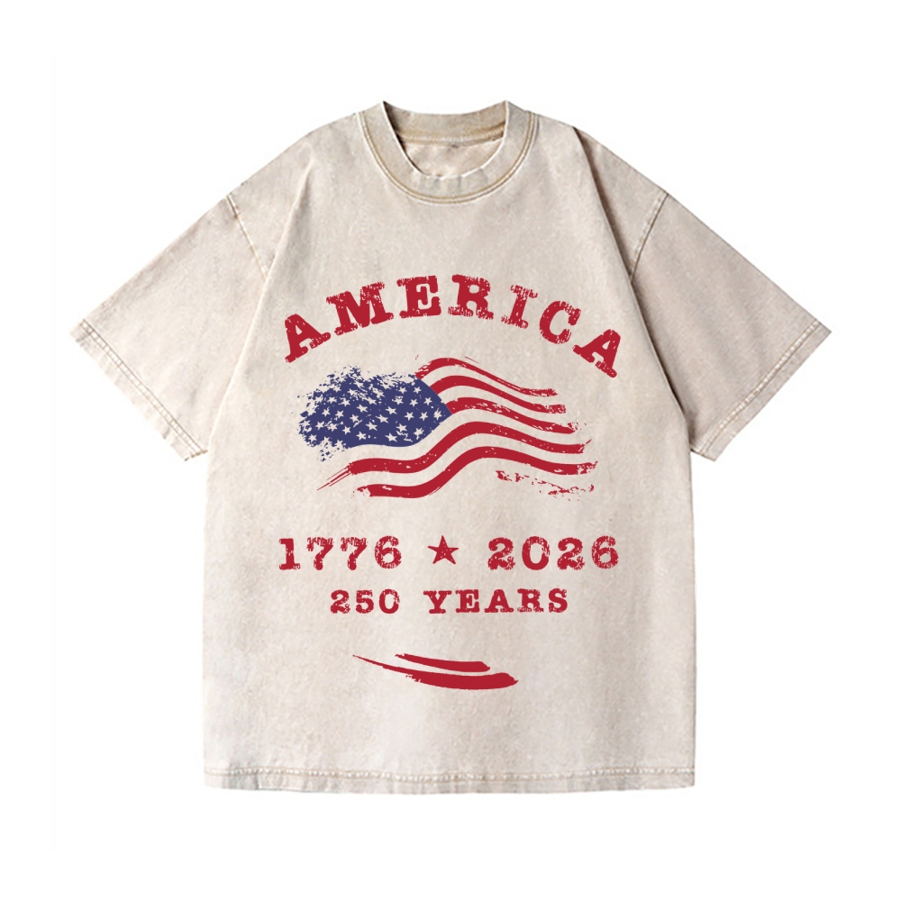 America 250 Years Vintage Wash Japanese Design T-Shirt