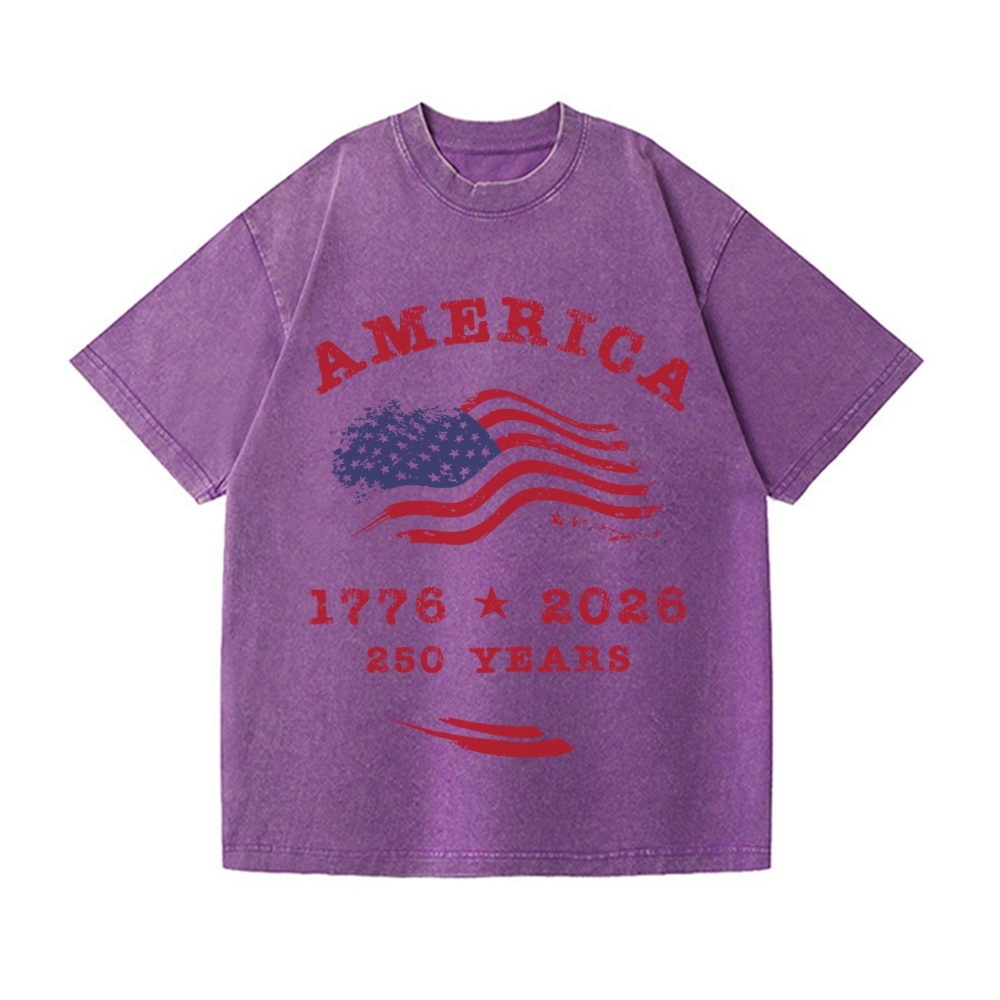 America 250 Years Vintage Wash Japanese Design T-Shirt