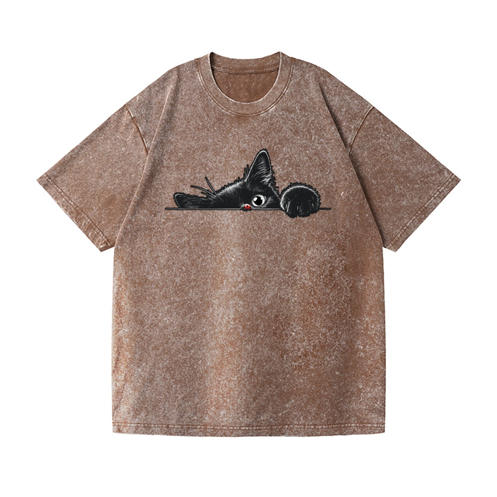 Black Cat Vintage Wash Japanese Design T-Shirt