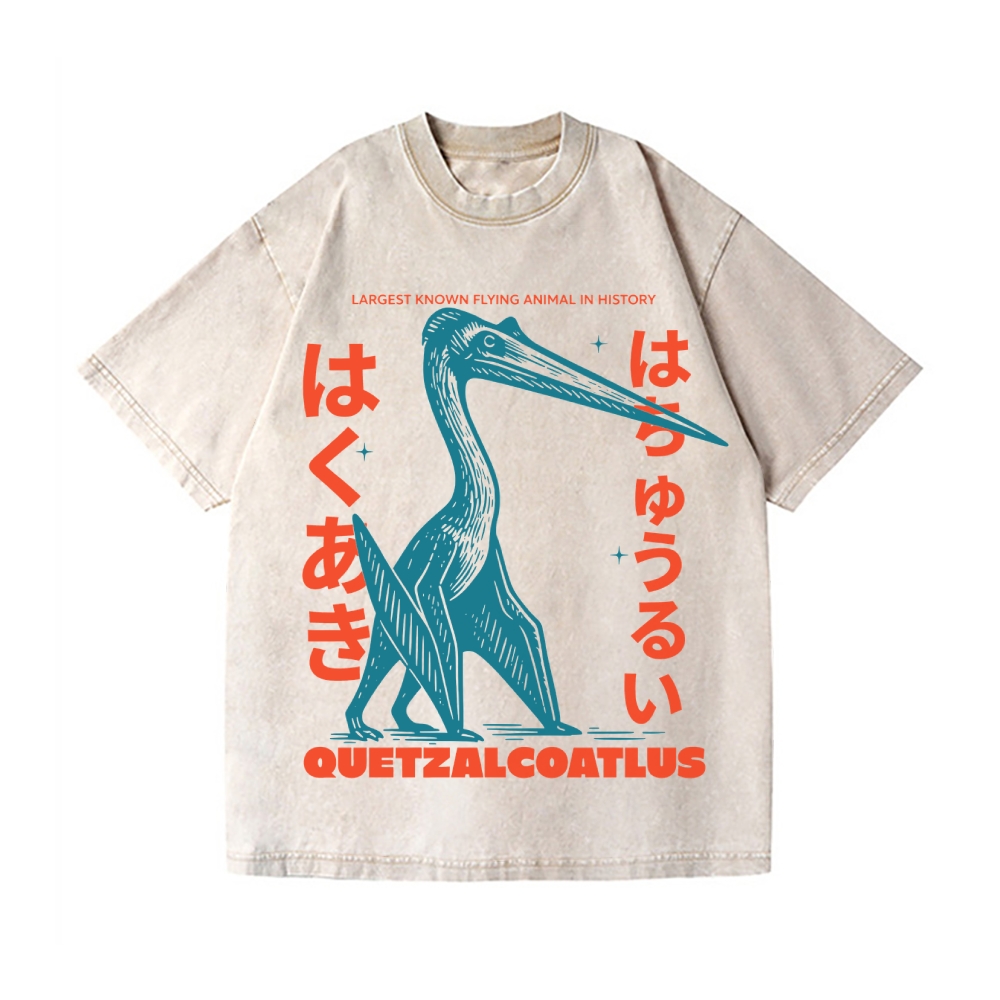 Quetzalcoatlus Vintage Wash Japanese Design T-Shirt